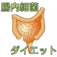 腸内細菌ダイエット